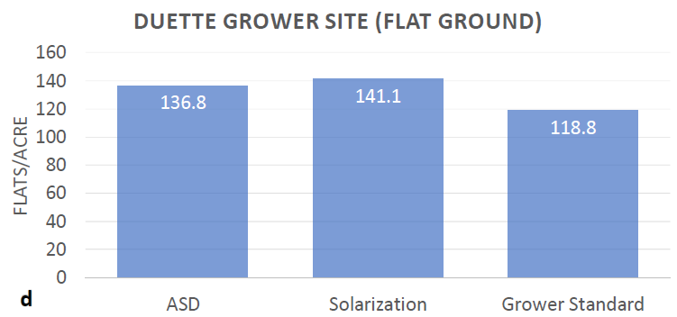 Ag Metrics Group - Duette Grower Site - Flat Ground Graph