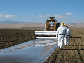 Preparing a field with plastic film for soil fumigation